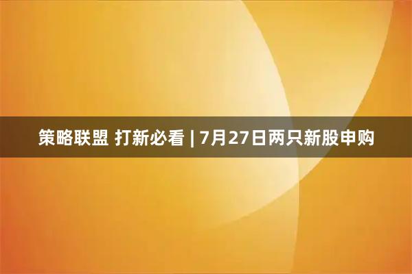 策略联盟 打新必看 | 7月27日两只新股申购