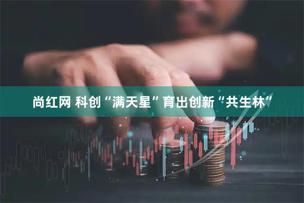 尚红网 科创“满天星”育出创新“共生林”