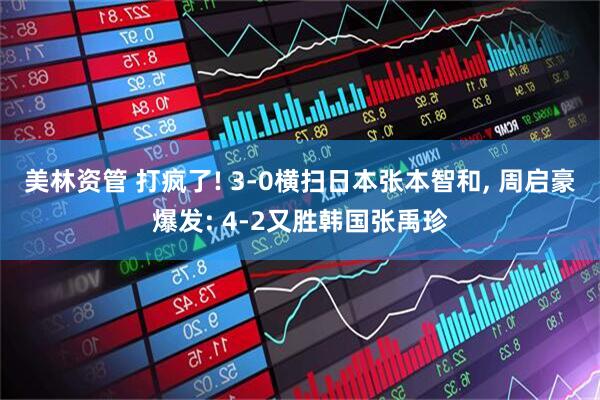 美林资管 打疯了! 3-0横扫日本张本智和, 周启豪爆发: 4-2又胜韩国张禹珍