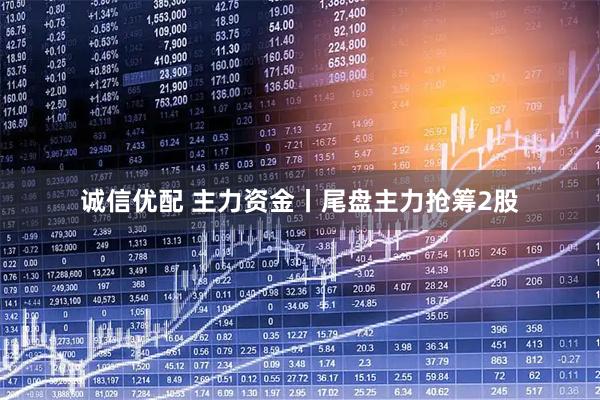 诚信优配 主力资金丨尾盘主力抢筹2股