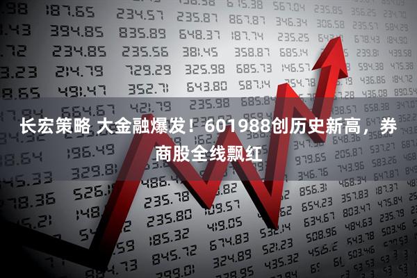 长宏策略 大金融爆发!601988创历史新高,券商股全线飘红